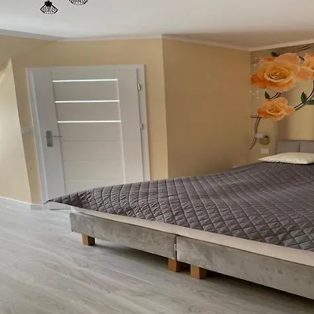 In Mi Dzywodzie Near Baltic Beaches * Miedzywodzie