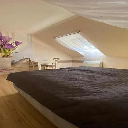 In Mi Dzywodzie Near Baltic Beaches