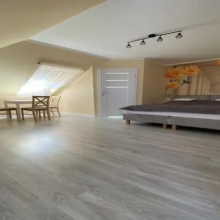 In Mi Dzywodzie Near Baltic Beaches Apartment Miedzywodzie