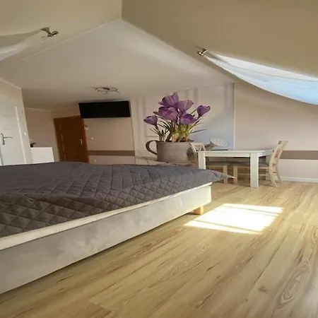 In Mi Dzywodzie Near Baltic Beaches