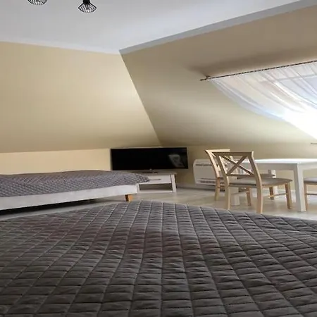 In Mi Dzywodzie Near Baltic Beaches Apartment *