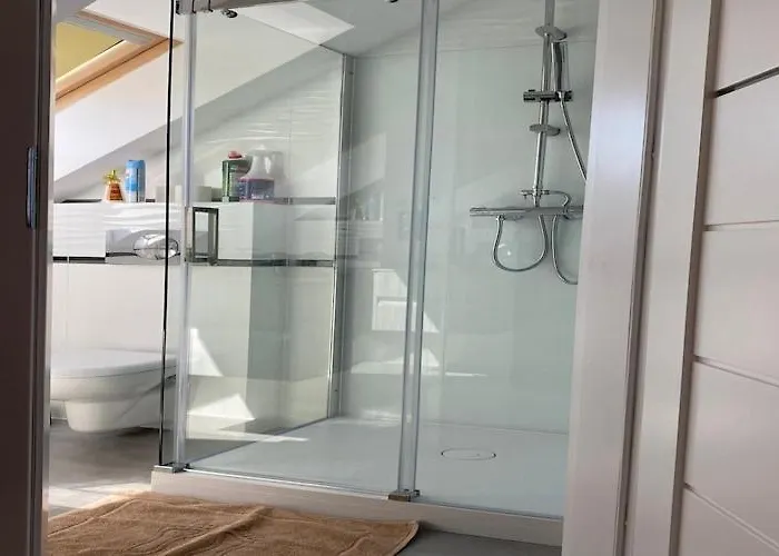 In Mi Dzywodzie Near Baltic Beaches *