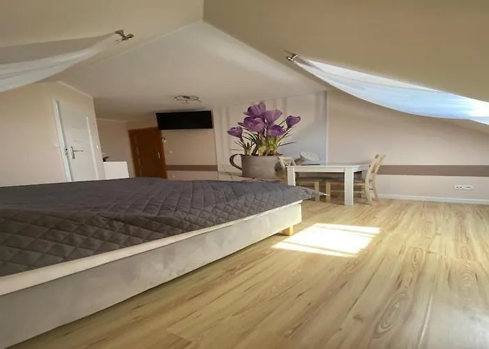 In Mi Dzywodzie Near Baltic Beaches