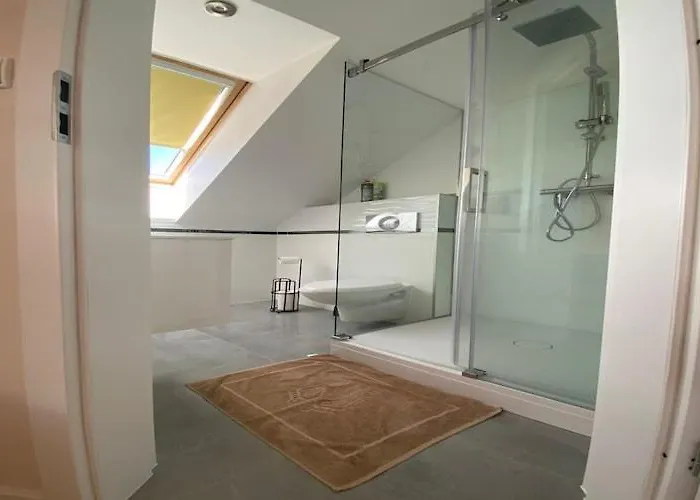 In Mi Dzywodzie Near Baltic Beaches *